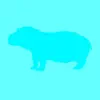 Hippopotamus - Fugnug - Single